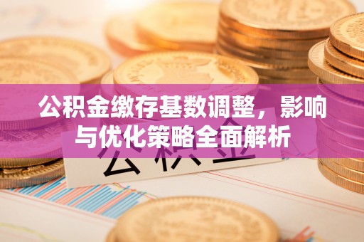杭锦后旗公积金缴存基数调整，影响与优化策略全面解析