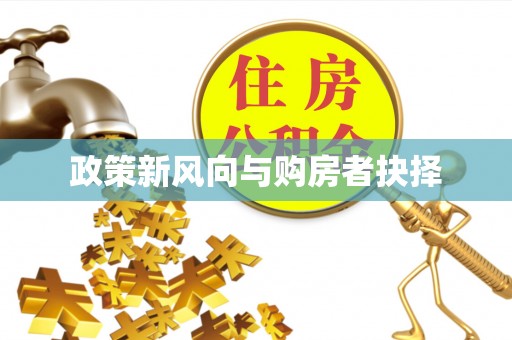 杭锦后旗政策新风向与购房者抉择