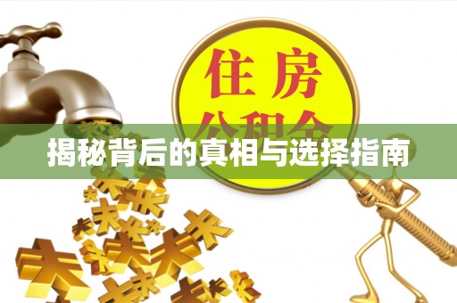 杭锦后旗揭秘背后的真相与选择指南