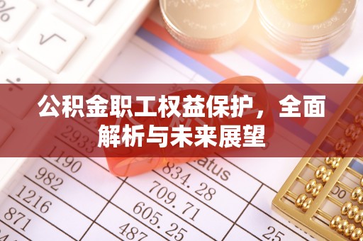 杭锦后旗公积金职工权益保护，全面解析与未来展望