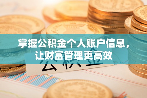 杭锦后旗掌握公积金个人账户信息，让财富管理更高效