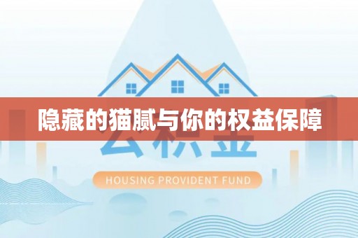 杭锦后旗隐藏的猫腻与你的权益保障