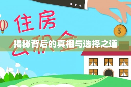 杭锦后旗揭秘背后的真相与选择之道