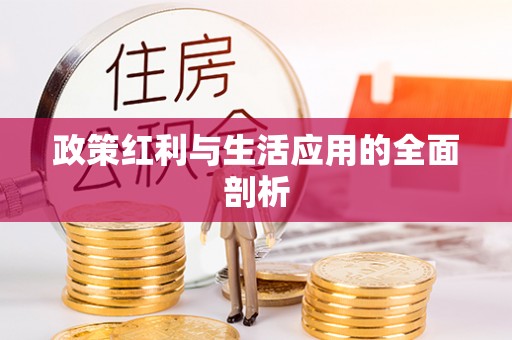 杭锦后旗政策红利与生活应用的全面剖析