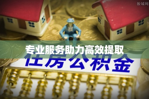 杭锦后旗专业服务助力高效提取
