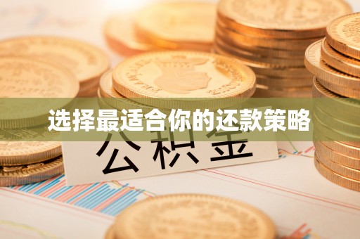 杭锦后旗选择最适合你的还款策略